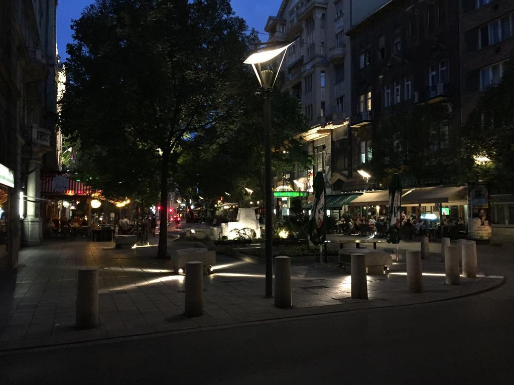 Apartment Near Opera In Downtown Budapest Eksteriør billede